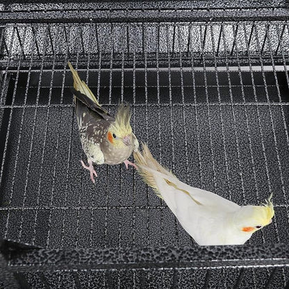 Yaheetech Extra Large Bird Cage 63'' Open Play Top Bird Cage for African Grey Parrots/Amazon Parrot/Caiques/Macaw with 360° Wheels