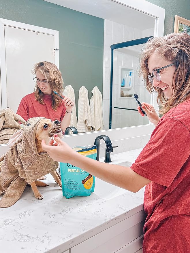 Jiminy's Dental Chews for Dogs, Cinnamon Flavor, Scientifically Proven to Improve Oral Health, Dental Bones Clean Teeth, Fight Bad Breath, and Removes Plaque and Tartar, Small, 20ct (Pack of 1)