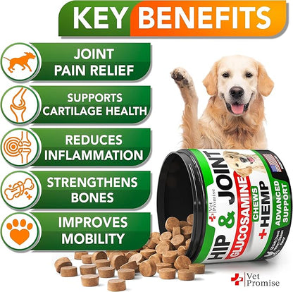 Vet Promise Hemp Hip and Joint Support Supplement for Dogs - Glucosamine for Dogs - Hemp Oil, MSM, Chondroitin - Support for Joint Pain Relief and Health - 120 Soft Chews - Made in USA
