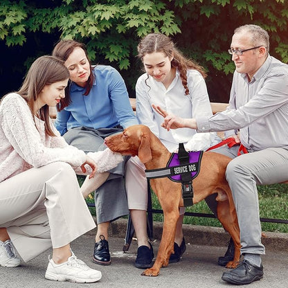 Dogline Unimax Service Dog Vest and Free Service Dog ID Badge with ADA Law, Small, Purple