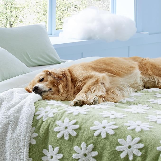 Lesure Waterproof Dog Blanket for Large Dogs - Washable Double Sided Dog Blankets with Warm Jacquard Shag and Soft Sherpa Fleece, Pet Cat Blanket for Queen Bed Protection, 3D Textured Flower, Green