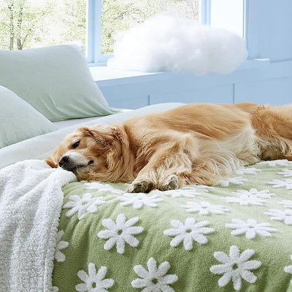 Lesure Waterproof Dog Blanket for Large Dogs - Washable Double Sided Dog Blankets with Warm Jacquard Shag and Soft Sherpa Fleece, Pet Cat Blanket for Queen Bed Protection, 3D Textured Flower, Green