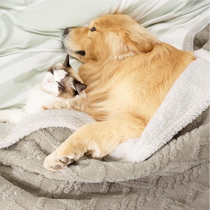 Bedsure Waterproof Dog Blanket for Large Dogs - Pet Blanket for Bed Couch Protector Washable, Jacquard Coral Fleece Cat Throw Blanket, Soft Plush Reversible Furniture Protection, 60x80, Pale Oak