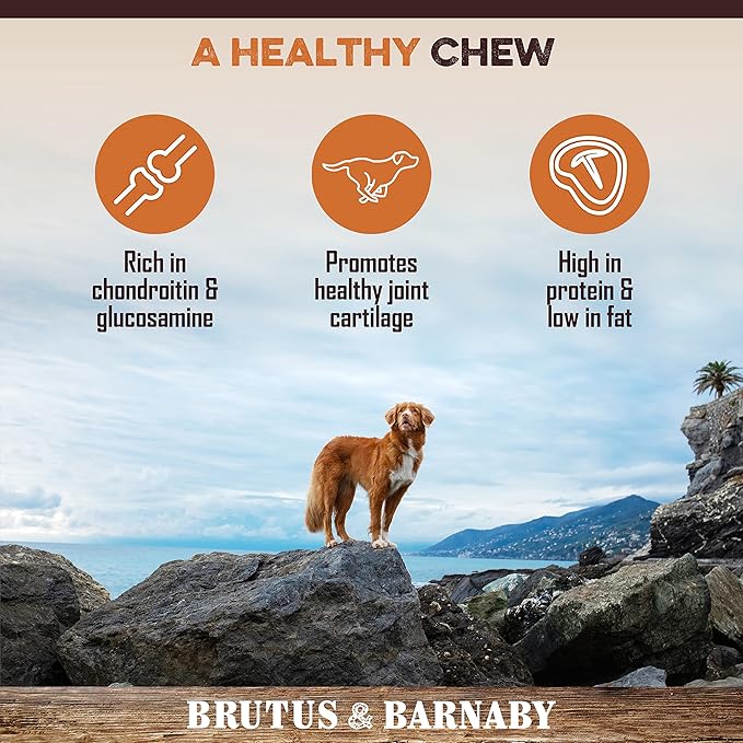 Gullet Sticks for Dogs, All Natural Single Ingredient Beef Jerky Chews, Healthy Beef Gullet Sticks, Naturally Occurring Glucosamine & Chondroitin, Can Help Joint Function for Puppies or Senior Dogs