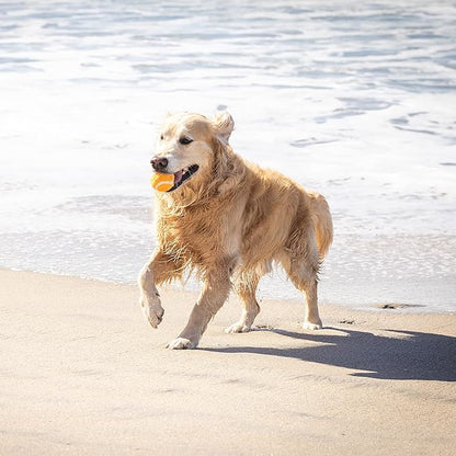 Hyper Pet MINI Tennis Balls for Dogs (Pet Safe Dog Toys & Dog Tennis Balls for Exercise, Training, Hyper Pet K9 Kannon Dog Ball Launcher) Bright Colored Interactive Dog Toy Dog Balls-Orange Pack of 4