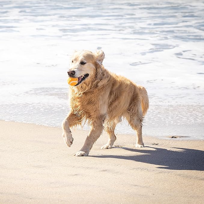 Hyper Pet Tennis Balls for Dogs (Pet Safe Ball for Exercise and Training) Interactive Dog Toys work with Hyper Pet K9 Kannon K2 Dog Ball Launcher - 4 Pack 2.5" Orange