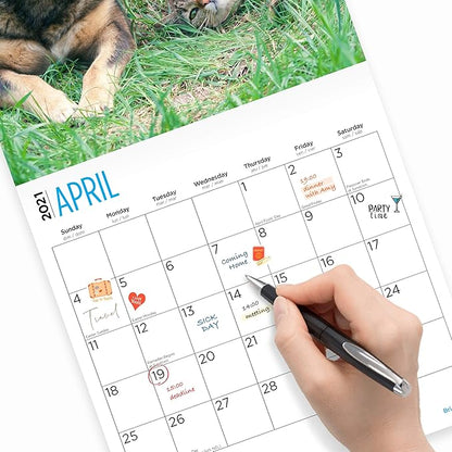 2-Speed USB Rechargeable Electric Cat Dog Pet Nail Trimmer 03