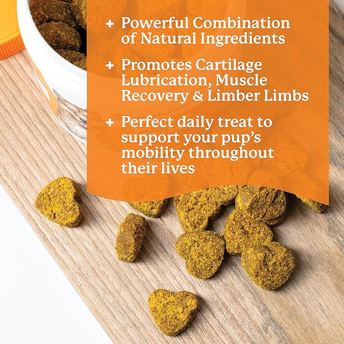 Dr. Harvey's Hip & Joint Soft Chews for Dogs, Daily Mobility Supplement Chewable Bites for Dogs with Glucosamine, Chondroitin & MSM, Green Lipped Mussel, Chicken Flavor (90 Chews)