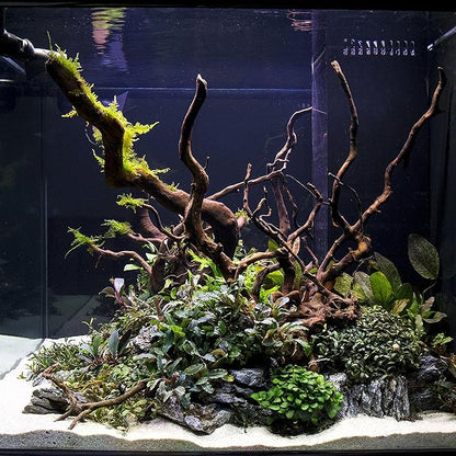 Ultum Nature Systems Driftwood - Spider Drift Wood for Fish Tank, Planted Tank, Terriarium, Paludarium - Versatile Natural Driftwood Decor, Events Wood Centerpiece - Spider Wood, S 7-12", 5 Pack