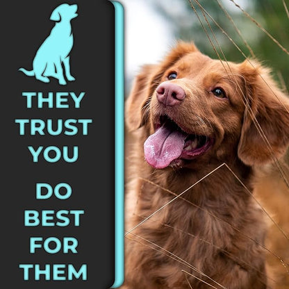 H&H Pets Nail Clippers Series - for Cats and Dogs - Razor Sharp Blades Sturdy Non Slip Handles - Dog Accessories Professional at Home Grooming - Stainless Steel - Dog Nail Trimmers - M (Sm-M Dogs)