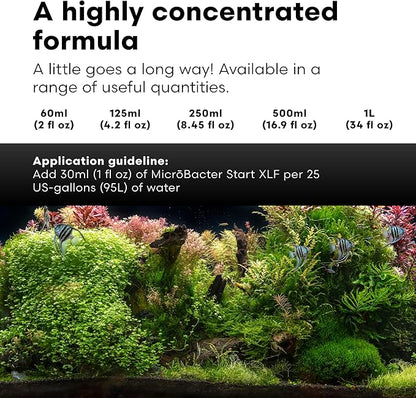 Brightwell Aquatics MicroBacter Start XLF - Concentrated Freshwater Nitrifying Bacteria - Quick Start Fish Tank Starter, Lift Microbe Levels & Water Filtering - Aquarium Water Treatments, 4.22 fl oz