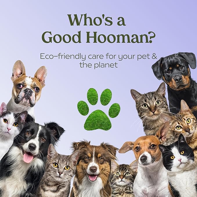 PAWFUME Dog Detangler Grooming Spray, Royal Lavender, 2-Pack  Keeps Pups Fresh All Day  Hypoallergenic, Alcohol-Free, Detangling & Moisturizing  Salon-Quality Dog Necessities for Coat & Fur Care