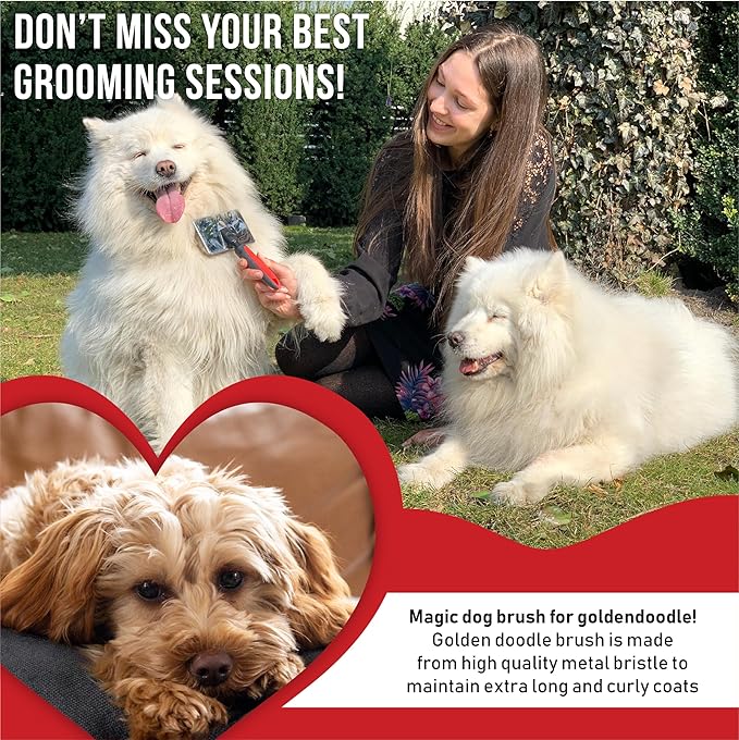 Dog Slicker Brush - Large - Protective Ball Tipped Pins Massages Pet Skin - Professional Groomer Dog Brush for Goldendoodle (Large)