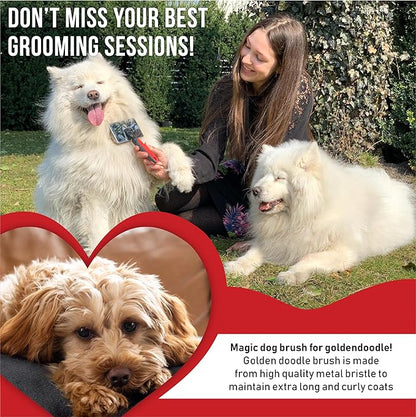 Dog Slicker Brush - Large - Protective Ball Tipped Pins Massages Pet Skin - Professional Groomer Dog Brush for Goldendoodle (Large)
