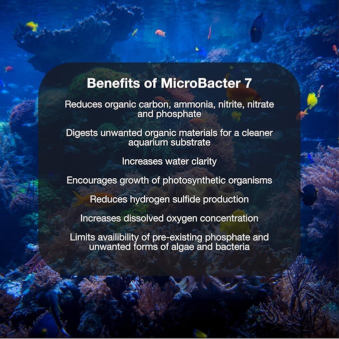 Brightwell Aquatics MicroBacter7 & MicroBacter Clean - Bacteria & Water Conditioners for Fish Tanks and Aquariums