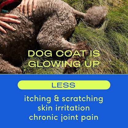 Native Pet Omega Oil for Dogs - Dog Fish Oil Supplements & Calming Chews | Dogs Anxiety Relief Treats & Dog Relaxants | 8 Oz. & 60 Chews