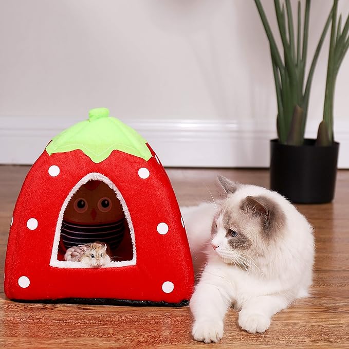 Spring Fever Hamster Guinea Pig Rabbit Dog Cat Chinchilla Hedgehog Bird Small Animal Pet Bed House Hideout Cage Accessorie B Red M (14.2 * 14.2 inch)