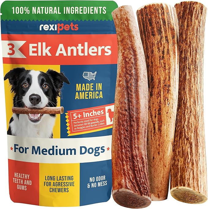 100% Natural - Elk Antlers for Dogs (3 Pack) - Chewers - Naturally Shed in USA - Dog Antler Chews for Medium Breeds - Natural, Long-Lasting Treats for Aggressive Chewers - No Odor & No Mess - Medium