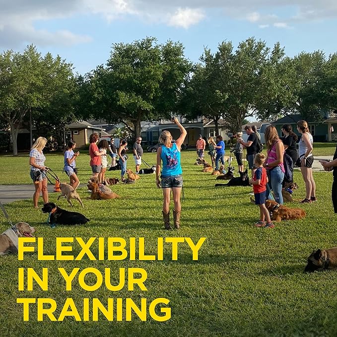 Dogtra 1900S HANDSFREE PLUS Dog Training Collar with Remote for Medium and Large Dogs - 3/4 Mile Range, Electric Dog collar, Waterproof, Vibrating, Rechargeable Correction Ecollar, 127 Training Levels