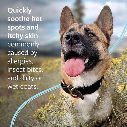 Veterinary Formula Clinical Care Hot Spot & Itch Relief Medicated Spray, 8oz  Easy to Use Spray for Dogs & Cats  Helps Alleviate Sensitive Skin, Scratching, and Licking of Coat (1 Pack)