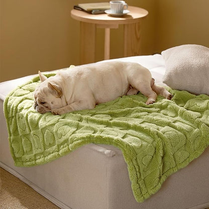 Bedsure Dog Blanket for Medium Dogs Washable - Soft Fluffy Puppy Blanket with Premium 300GSM Coral Fleece, Cozy Calming Cat Blankets for Indoor Cats, Fuzzy Pet Blanket for Kitten Doggy, Green