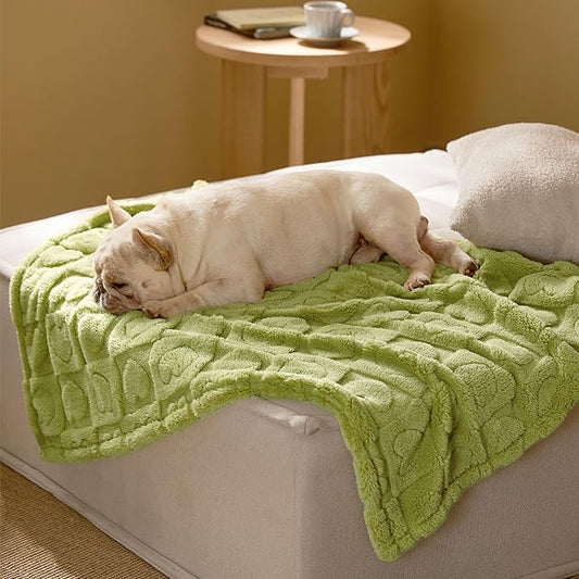 Bedsure Dog Blanket for Medium Dogs Washable - Soft Fluffy Puppy Blanket with Premium 300GSM Coral Fleece, Cozy Calming Cat Blankets for Indoor Cats, Fuzzy Pet Blanket for Kitten Doggy, Green