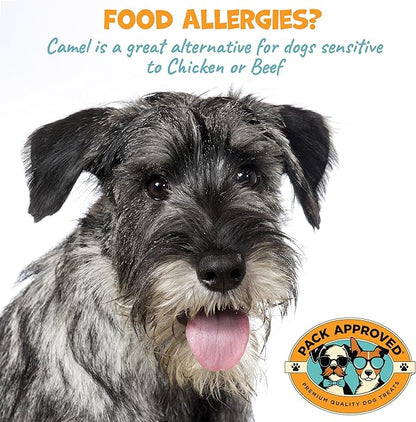 6" Braided Camel Sticks - Long Lasting Dog Chews for Aggressive Chewers - Rawhide Alternative, Grain Free, One Ingredient Treats - Great for Dog Dental Care - (10 Pack)