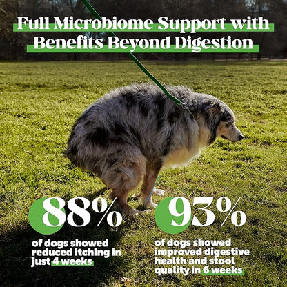 Max Strength Probiotics for Dogs - Super Pooper Dog Stool Hardener with Fiber & Digestive Enzymes, Reduce Occasional Diarrhea for Firm Perfect Poops (90 Ct)