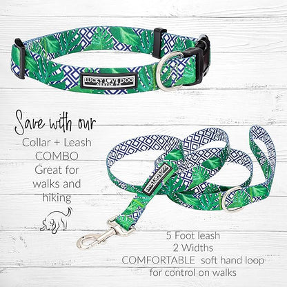 Lucky Love Dog Collar, Beautiful & Vivid Pattern X-Small Boy Dog Collars, Easy On & Off Clasp Accessory (Blue Laguna, XS)