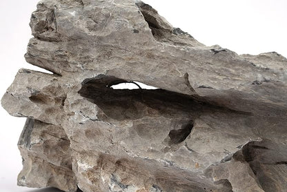 LANDEN Seiryu Stones Natural Rocks for Aquarium, Paludarium, Terrariums, Landscaping Rocks, Aquascaping, 80L (36lbs) 3-11in, Seiryu Stones(3-11inch,36lbs)