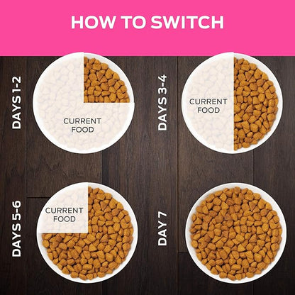 Purina Pro Plan Veterinary Diets UR Urinary St/Ox Feline Formula Dry Cat Food - 6 lb. Bag