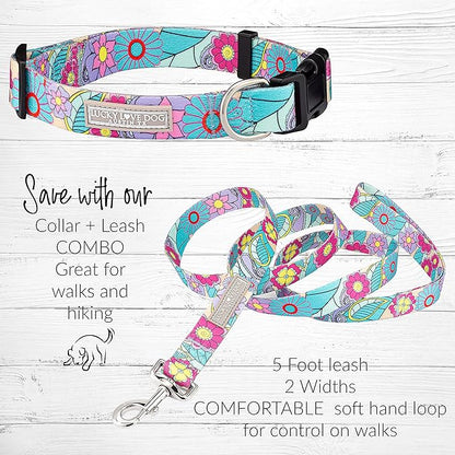 Lucky Love Dog Collars, Cute Girl Collars, Small Medium Large Female Collars, Part of Purchase Donated to Rescue (Extra Large, Caroline, Combo)