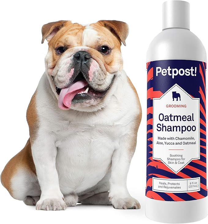 Petpost | Oatmeal & Chamomile Shampoo for Dogs with Dry Skin - Naturally Heals, Protects, Rejuvenates Dog Skin & Coat - Oatmeal, Chamomile, Aloe & Yucca Formula 8 oz.