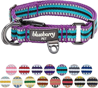 Blueberry Pet 3M Reflective Dog Collars | Adjustable Dog Collar w/Multi-Colored Stripe - Violet and River Blue | Nylon Pet Collars for Dogs & Refflective Dog Collar for Medium Dogs