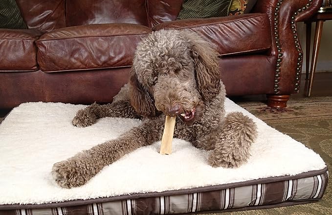 Himalayan Yak Snak Dog Chew - Assorted Size 3 Pack - Hard Cheese Snack Chews for Your Dog or Puppy Made from Yak Milk - All Natural - No Preservatives - Healthy - Limited Ingredients (Assorted 3-Pack)