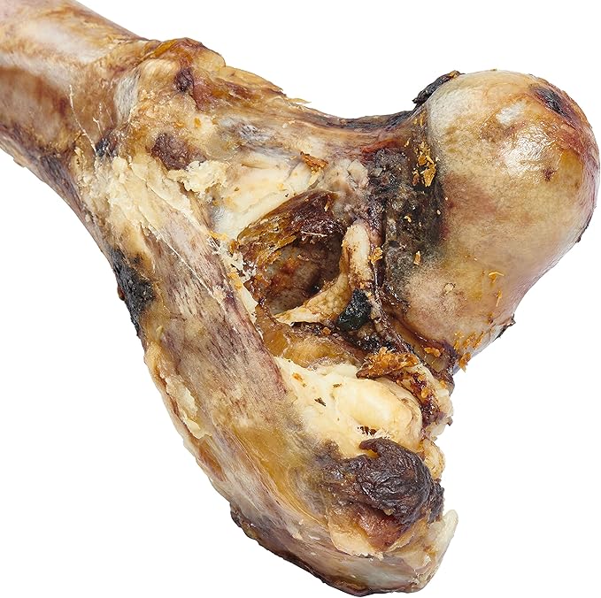 EcoKind Premium Giant Mastedon Femur Bone for Dogs | 1 Giant Bone | All Natural Femur Bone for Large Dogs and Aggressive Chewers