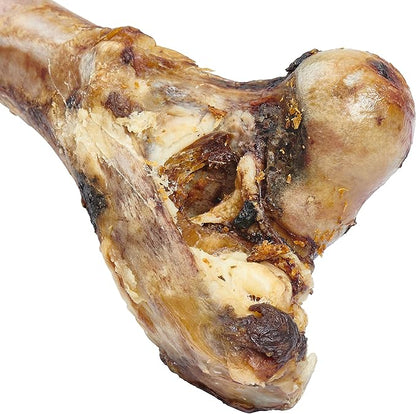 EcoKind Premium Giant Mastedon Femur Bone for Dogs | 1 Giant Bone | All Natural Femur Bone for Large Dogs and Aggressive Chewers