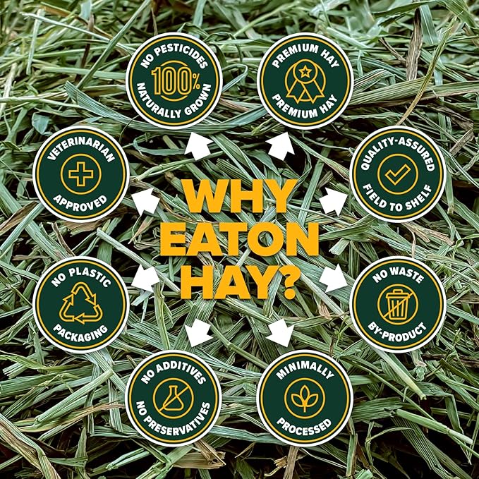 Eaton Pet and Pasture Naturally Grown, Premium, 1st Cut Blend, Western Timothy Hay Orchard Blend, Small Animal Food, Sustainable, Eco-Friendly, Farmer-Owned, 25LB-Box.