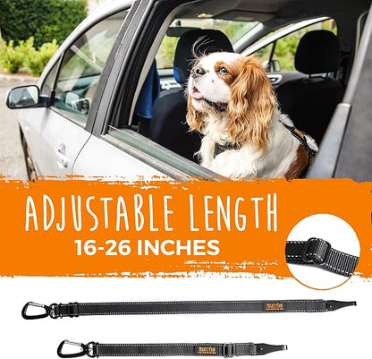 Mighty Paw Dog Seat Belt - Latch Bar Attachment Like A Child's Car Seat - Strong and Durable with 850+ LBS Force Tension - All Metal for Strength and Durability - Keeps Your Dog Restrained and Calm