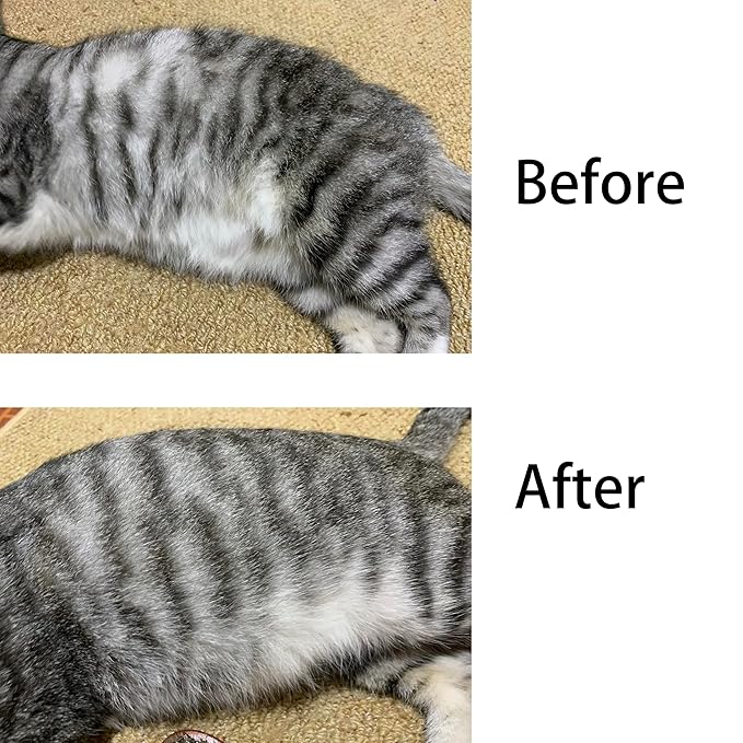 Bristle Cat Hair Brush for Shedding, Soft Cat Brush Wooden Handle, Short & Long Haired Cat Dog Brush Pet Grooming