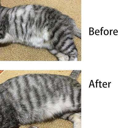 Bristle Cat Hair Brush for Shedding, Soft Cat Brush Wooden Handle, Short & Long Haired Cat Dog Brush Pet Grooming