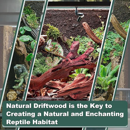 Natural Wood Driftwood for Aquarium Fish Tank Decor,Assorted Trunk Driftwood Branch for Reptile Decor (ZYM Driftwood Medium (8 to12 Inch)-Pack of 1)