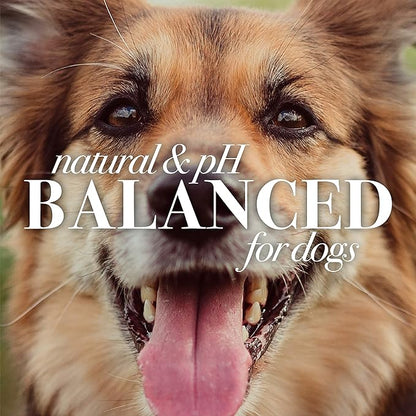 Burt's Bees for Pets Hypoallergenic Shampoo for Dogs with Shea Butter and Honey, 95% Natural Origin Formulas, Shampoo for Sensitive Dogs - Gentle Dog Shampoo, 16 oz