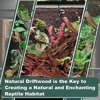 Natural Shrimpwood Driftwood Coral Driftwood for Aquarium Fish Tank Decor,Assorted Trunk Driftwood Branch for Reptile Decor (SHP-XM Driftwood M(9 to13 Inch)-Pack of 2)