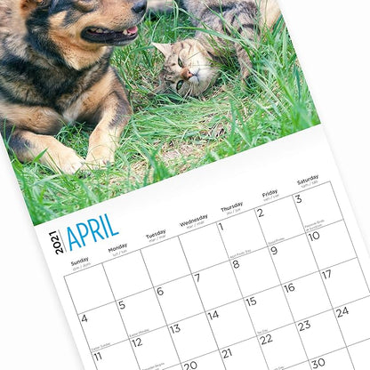 2-Speed USB Rechargeable Electric Cat Dog Pet Nail Trimmer 03