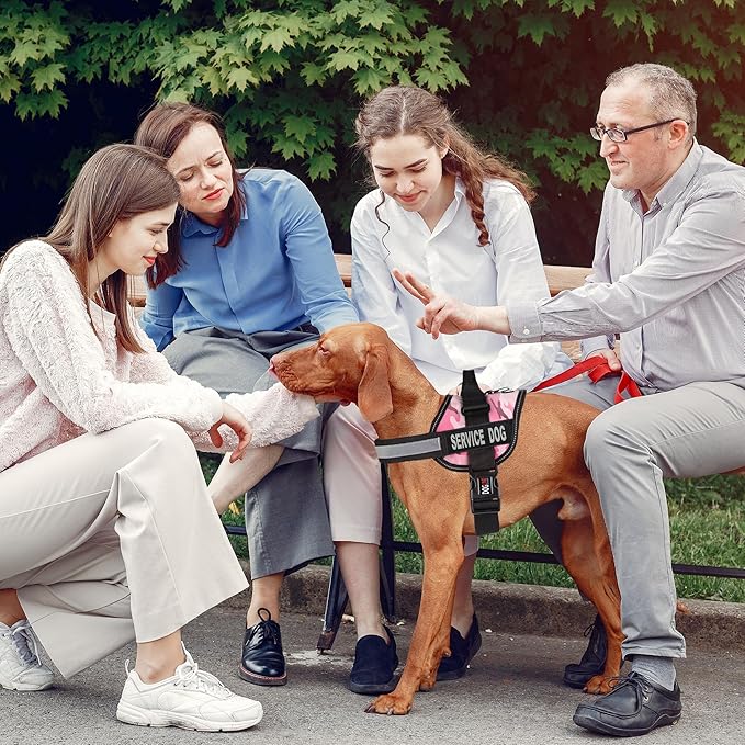 Dogline Unimax Service Dog Harness Vest with Removable Service Dog Patches Adjustable Straps Breathable Neoprene for Medical Identification Training Dogs Girth 28 to 38 in Pink Camo