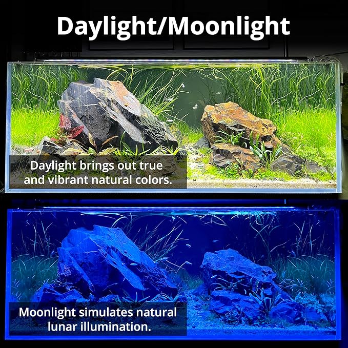 NICREW C10 Plants LED Aquarium Light, 12-18 in, 9 Watts, Full Spectrum Fish Tank Light with Timer, Day and Night Cycle, Brightness Adjustable