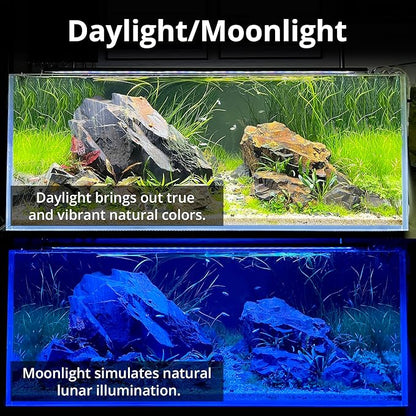 NICREW C10 Plants LED Aquarium Light, 12-18 in, 9 Watts, Full Spectrum Fish Tank Light with Timer, Day and Night Cycle, Brightness Adjustable