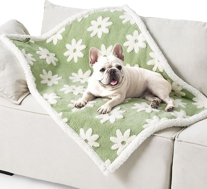 Lesure Waterproof Dog Blanket for Medium Dogs - Washable Double Sided Dog Blankets with Warm Jacquard Shag and Soft Sherpa Fleece, Pet Cat Blanket for Couch Protection, 3D Textured Cloud, Green