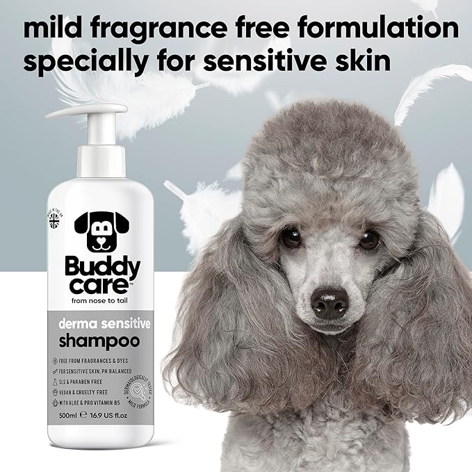 Derma Sensitive Dog Shampoo by Buddycare | Dry Skin & Itchy Skin Relief for Smelly Dogs | Deep Cleansing for Dogs Puppy Sensitive Skin | Dog Shampoo & Conditioner | with Aloe & Vitamin B5 (16.90oz)